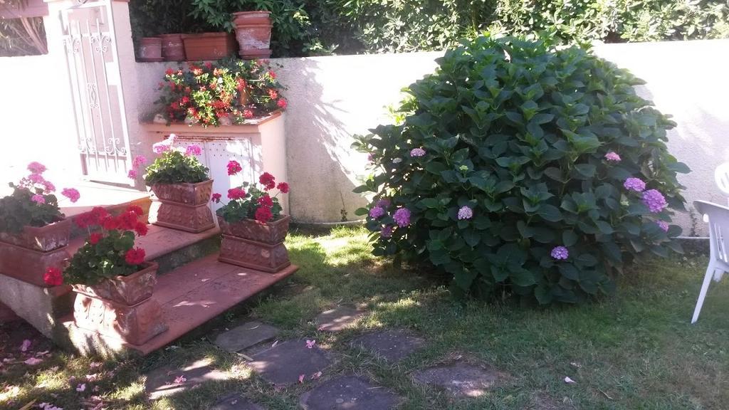 Hotel Anselmi Marciana Marina  Zewnętrze zdjęcie